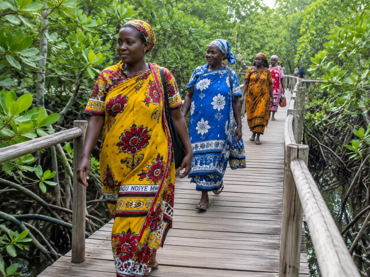 Women in kanga walking a mangrove boardwalk